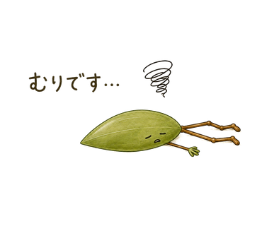 むりです…